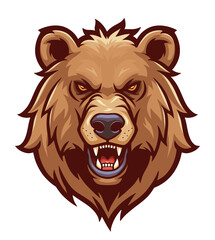 Bear head vector illustration on the white background. 
