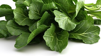 Fresh green leafy vegetable bunch isolated on white background