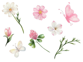 Floral set, flowers, butterflies, daisies, clover and leaves. Botanical illustration, hand drawn in watercolor. Beautiful set for greeting cards, posters, wedding invitations, templates.