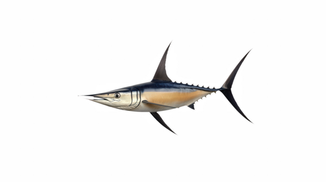 a close up of a fish on a transparent background, PNG image, PNG file, Generative art. - Powered by Adobe