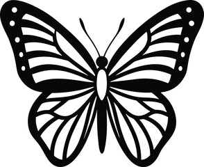butterfly line art vector illustration.