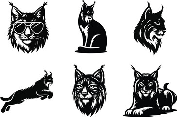 Obraz premium Vector Silhouette of Iberian Lynx Cat – Designed for Print and Digital Use