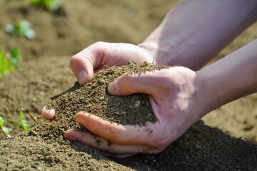 The hands on which the sun shines hold the earth