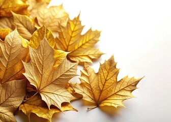 Fototapeta premium Elegant Golden Autumn Leaves Corner Design, Macro Photography, White Background, Luxury Decor