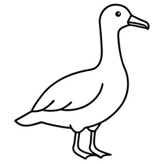 Albatross Flight in Simple Line Art