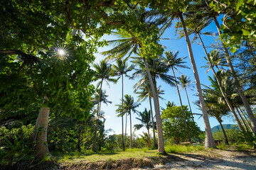 the atmosphere of the island in thailand with dramatic tone