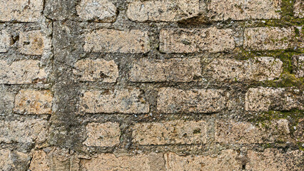 Old brick wall with green moss texture. Grunge background, weathered surface, natural decay, rustic detail, damp environment, aged stone wall, vintage exterior pattern.