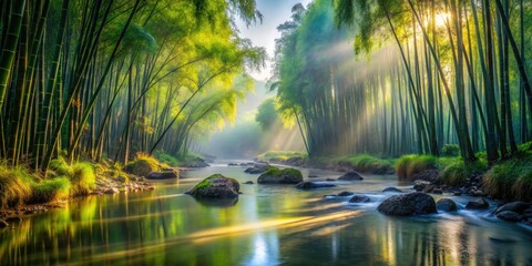 Obraz premium Misty Bamboo Forest River, Serene Morning Scene, Peaceful Nature Photography, Asian Landscape, Rule of Thirds Composition