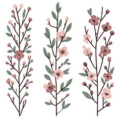 Set of outline sakura, doodle floral. Hand drawn spring Botanical drawing. Detailed line art illustration. Simple Stylized Art flowers. Elegant Black and White Cherry blossom branch.