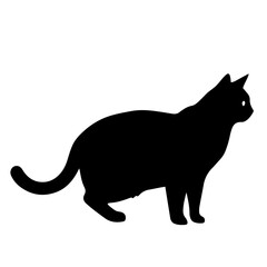 Black and white vector silhouette of a cat on white background
