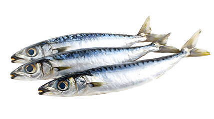 Sardines on White Background for Food Photography and Packaging Design