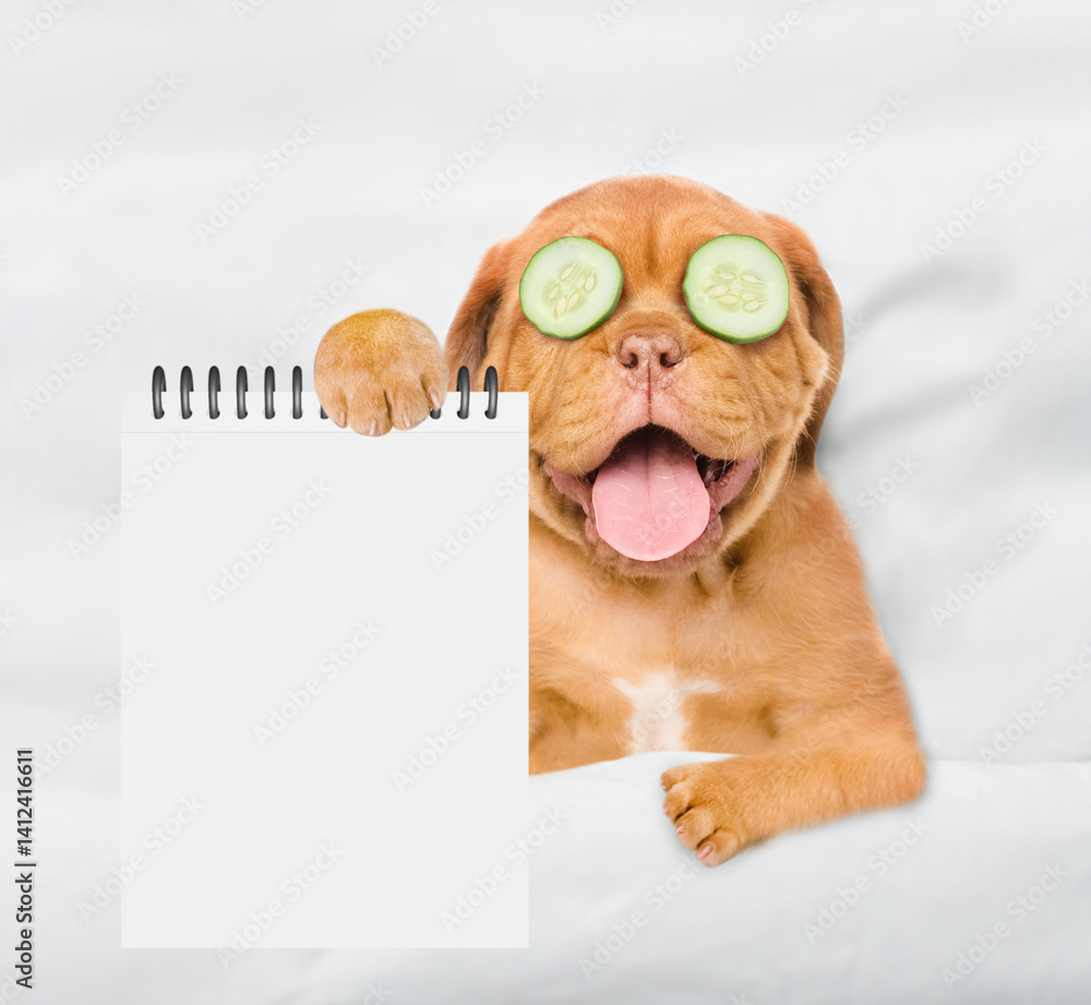 Aufkleber Funny Mastiff puppy with pieces of cucumber on it eyes relaxing on the bed at home and showing empty list. Top down view. Empty space for text