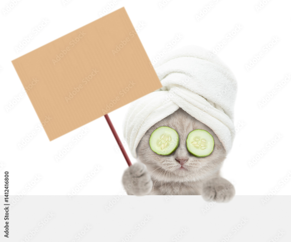 Poster funny kitten with towel on it head and with slices of cucumber on it eyes looks above blank white ba