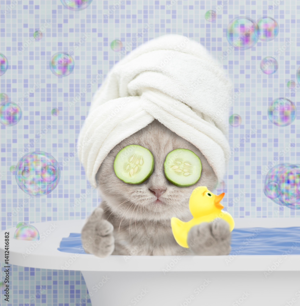 Poster cute kitten with towel on it head and slices of cucumber on it eyes takes the bath at home, holds ru