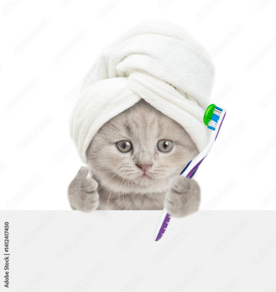 Poster funny kitten holds toothbrush above blank white banner. empty space for text. isolated on white back