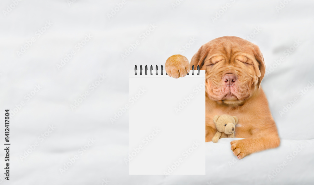 Aufkleber Tired Mastiff puppy sleeps on a bed at home and showing empty list in it paw. Top down view. Empty space for text