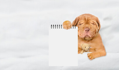 Tired Mastiff puppy sleeps on a bed at home and showing empty list in it paw. Top down view. Empty...