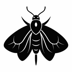 Bold Moth Silhouette Vector Graphic