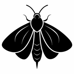 Bold Moth Silhouette Vector Graphic
