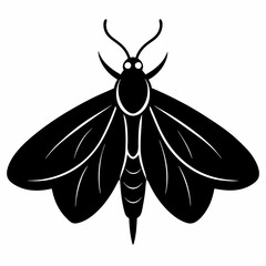 Bold Moth Silhouette Vector Graphic