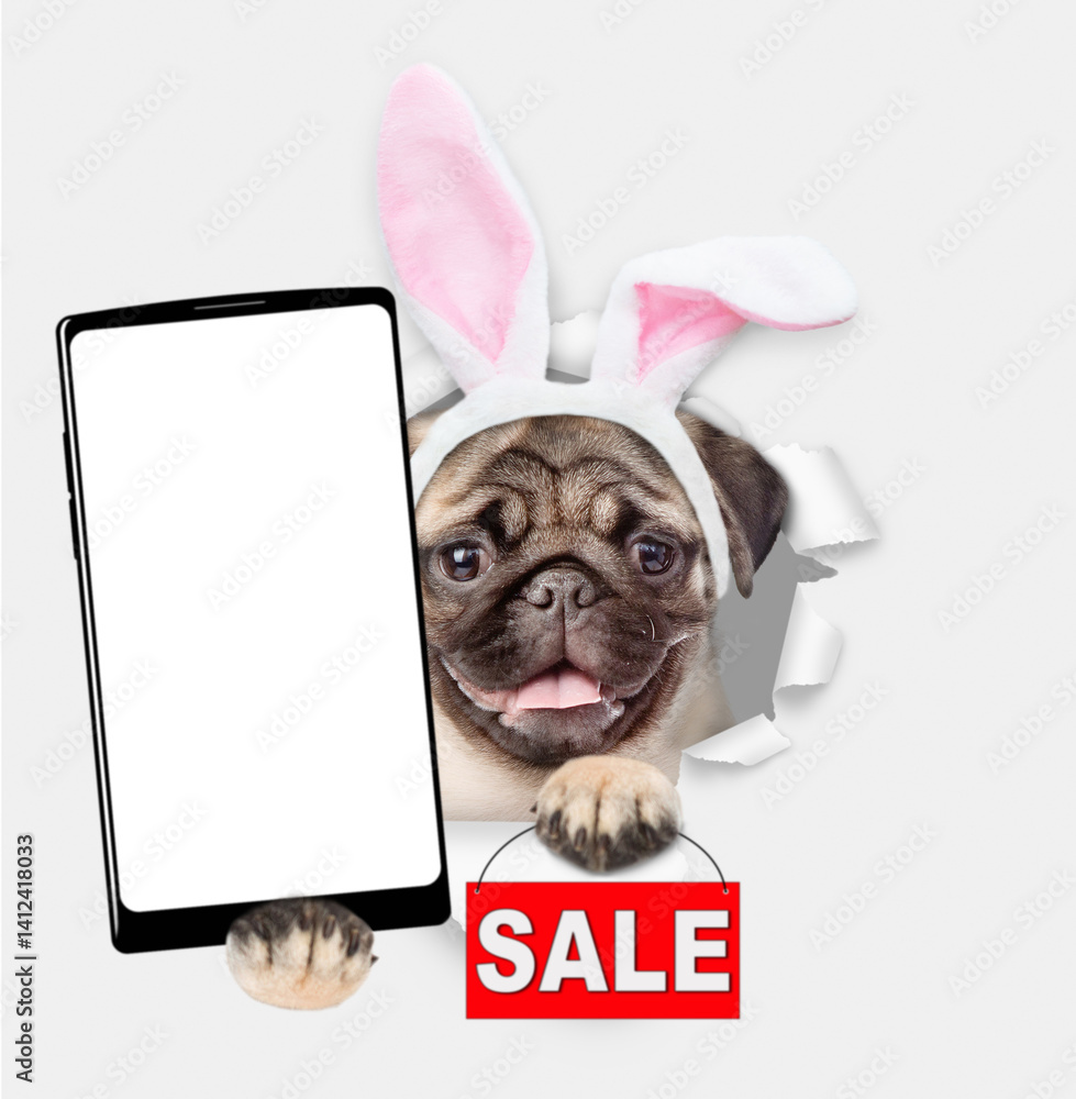 Poster happy pug puppy wearing easter rabbits ears holds big smartphone with white blank screen and shows s