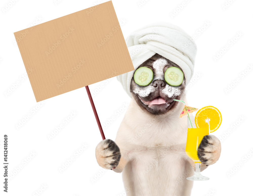 Poster funny pug puppy with towel on it head and with pieces of cucumber on it eyes drinks orange cocktail 