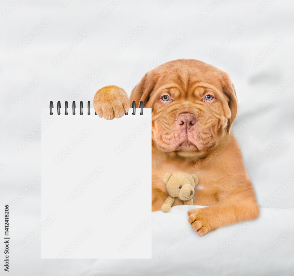 Aufkleber Tired Mastiff puppy sleeps on a bed at home and showing empty list in it paw. Top down view. Empty space for text