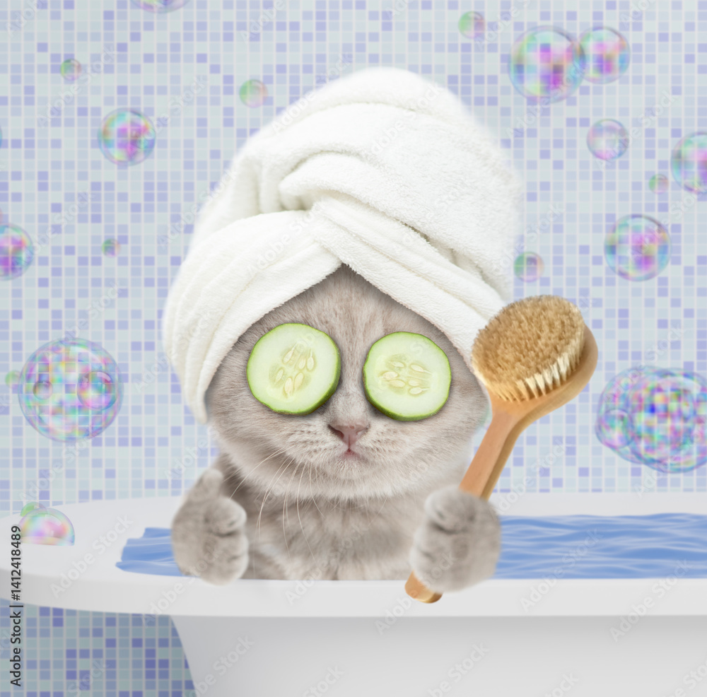 Poster cute kitten with towel on it head and slices of cucumber on it eyes takes the bath at home, holds sh