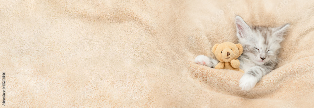 Aufkleber Cozy Maine coon kitten sleeps with favorite toy bear under warm blanket on a bed at home. Top down view. Empty space for text