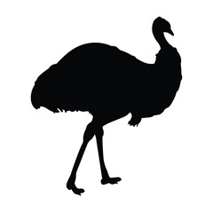  Silhouette of Emu vector design