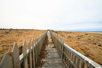 Obraz premium A boardwalk through the Cape Cross Seal Reserve. The Atlantic Ocean in the background. Seal colony at Cape Cross on Namibia's Skeleton Coast
