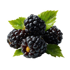 A close up of three blackberries with green leaves on black back