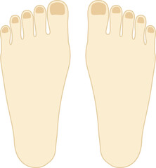 足のイラスト