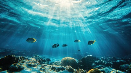 Underwater blue background in the sea