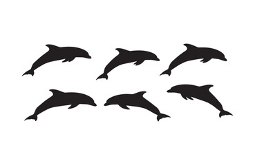 Fototapeta premium Dolphins jumping showcasing their natural marine agility