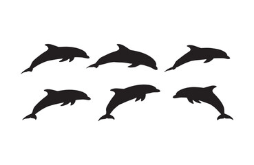 Fototapeta premium Captivating dolphin forms symbolizing oceanic vitality