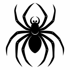 Clean and Bold Spider Silhouette