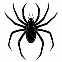 Clean and Bold Spider Silhouette