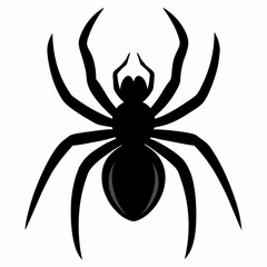 Clean and Bold Spider Silhouette