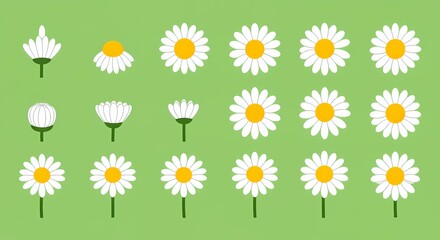 Obraz premium Camomile Icon Set – White Daisy Chamomile Flowers, Cute Round Plant Collection, Growing Concept, Love Card Symbols, Flat Design on Green Background, Isolated Botanical Illustrations