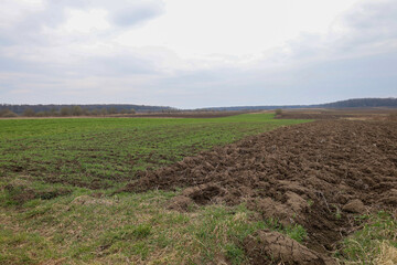 Wide landscape of agricultural land in Ukraine in early spring under an overcast sky. In the...