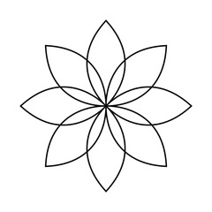 Illustrasion Nature Floral Summer Flower Spring Blossom Lilly Sign Vector