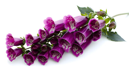 Obraz premium A bunch of purple flowers with white spots. Generated using AI.
