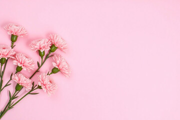 bouquet of pink carnations in a vase on a pink background