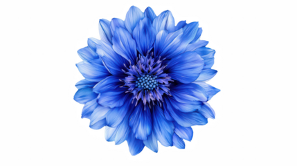 a photo of a blue flower on a transparent background, PNG image, PNG file, Generative art.