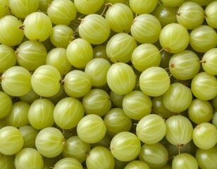 gooseberry; isolated; white; gooseberries; background; green; fruit; berry; ripe; organic; food; fresh; closeup; ingredient; raw; healthy; sweet; group; macro; natural; nutrition; juicy;