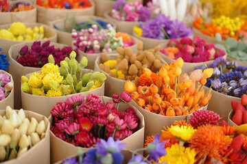 Vibrant spring market scene with colorful dried flowers neatly arranged in paper packages, capturing the essence of the season’s bloom.