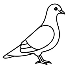 Elegant Pigeon Outline Illustration