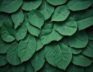 green leaf background texture. the leaves are close