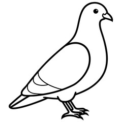 Elegant Pigeon Outline Illustration